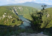 The Guilds of Constantinople A Living Tradition