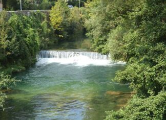 Was There More Than One Basilike Pyle?